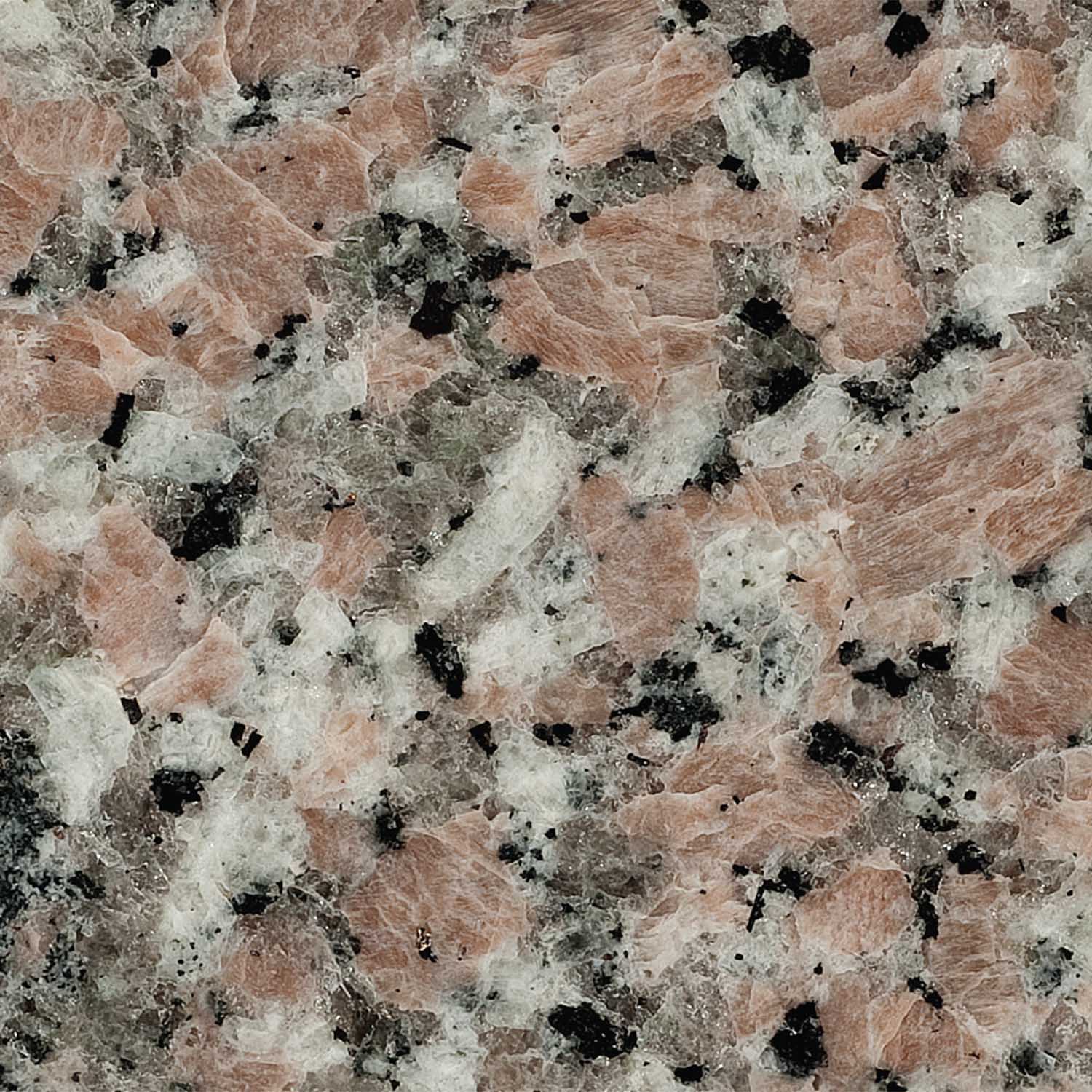 Kershaw granite sample