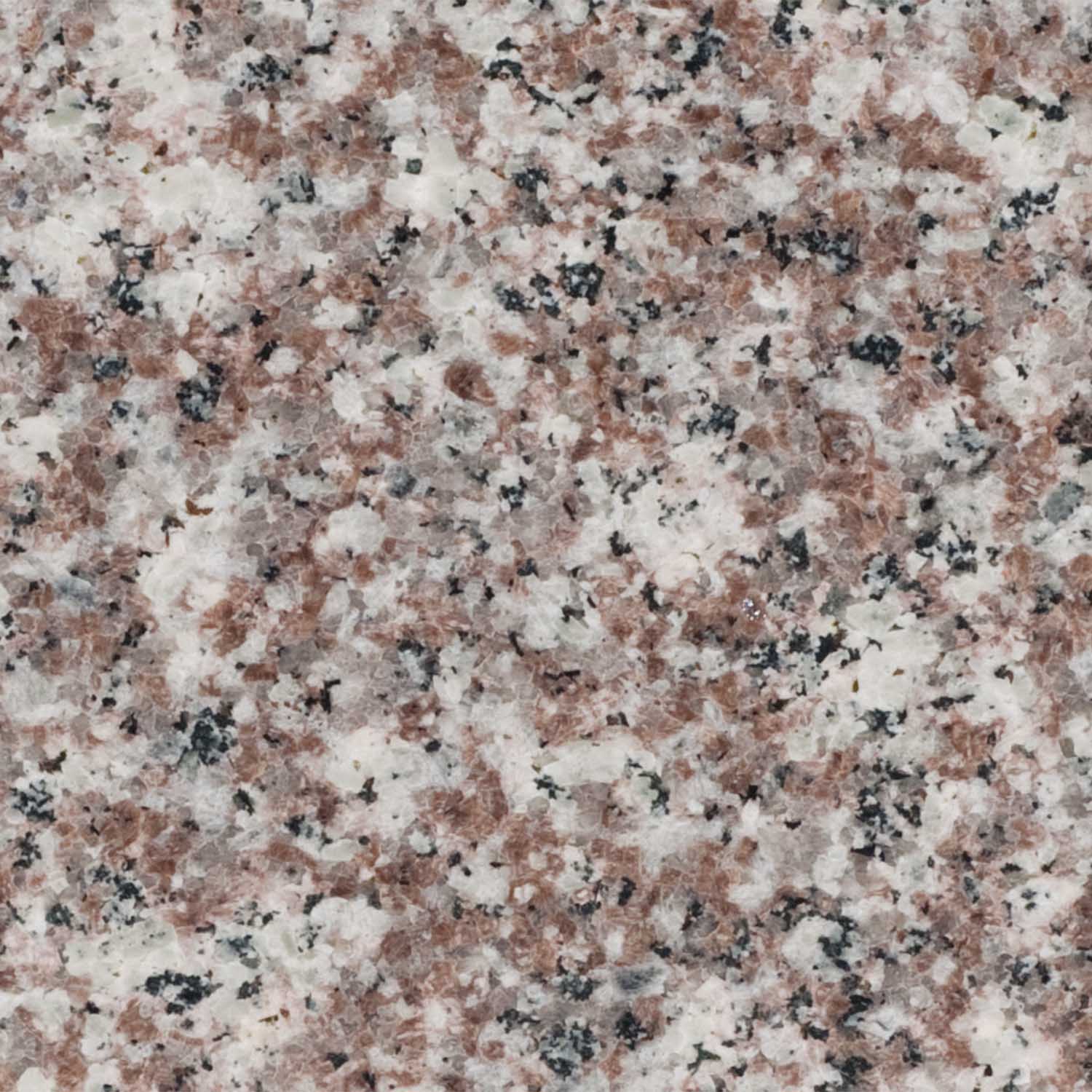 Mocha granite sample