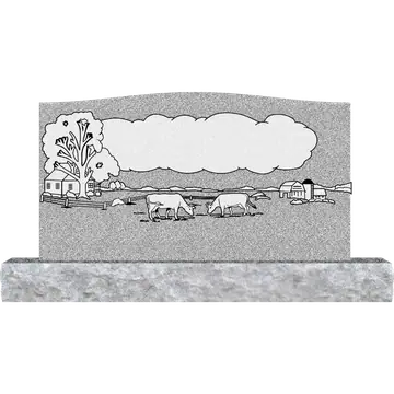 48 X 26 AD1020
