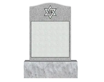 EVH-133