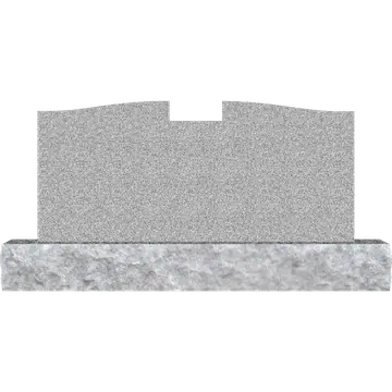 SD-204_Blank
