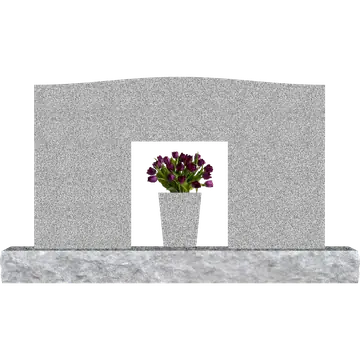 SD221_Blank