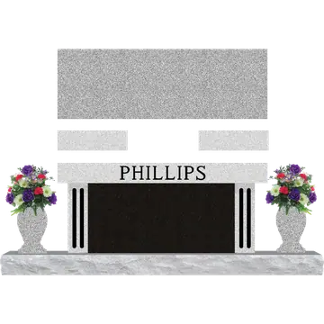 SD-048 Phillips SDP Template 1
