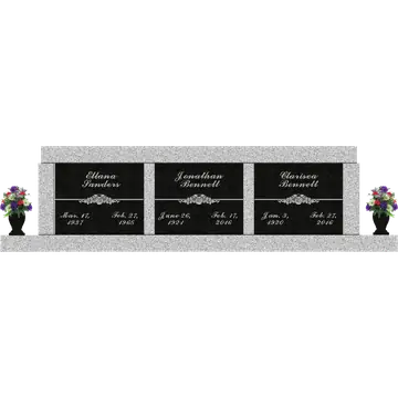 SD-825 Setup B_SDP Template 1