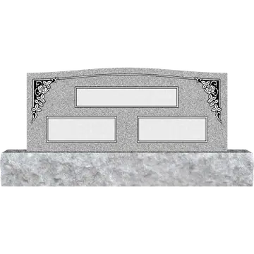 48 X 20 AD500