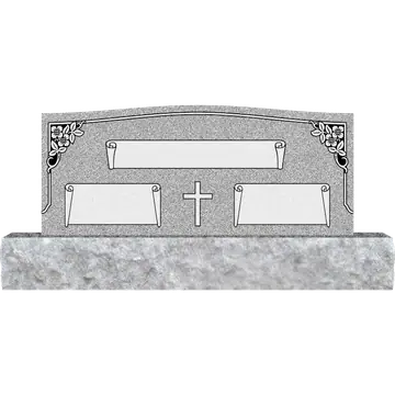 48 X 20 AD700