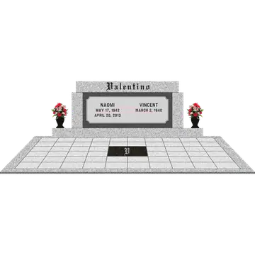 SD-818 Setup C_SDP Template 1