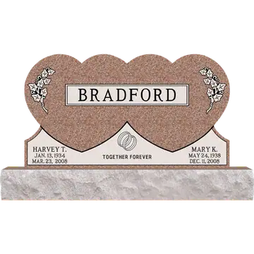 SD-200B
