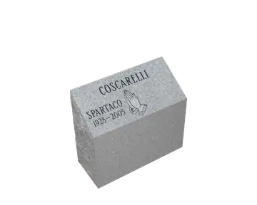 SD-901