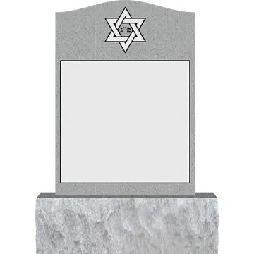 EVH-133