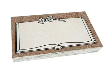 EV-099