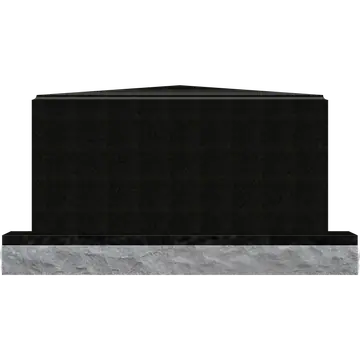 SD-121_Blank